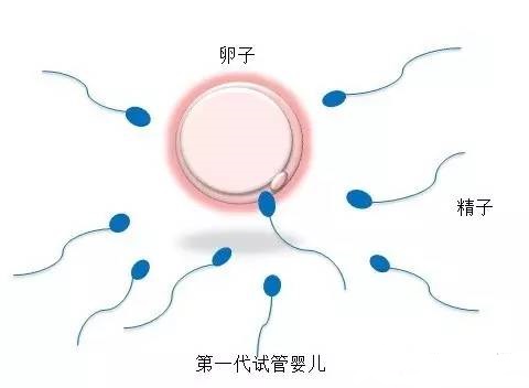 代生生男孩代怀中介生殖中心